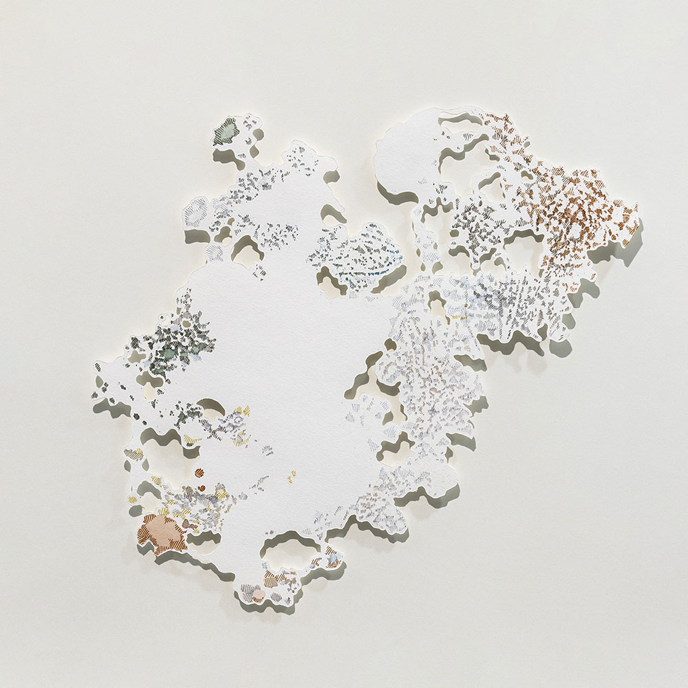 17_Medio_Rhizome I_ink and pencil on paper_50 x 50 cm_2019